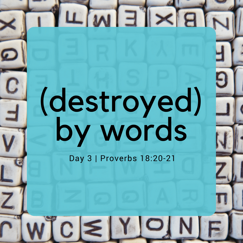 destroyed-by-words-proverbs-18-20-21-south-fellowship-church