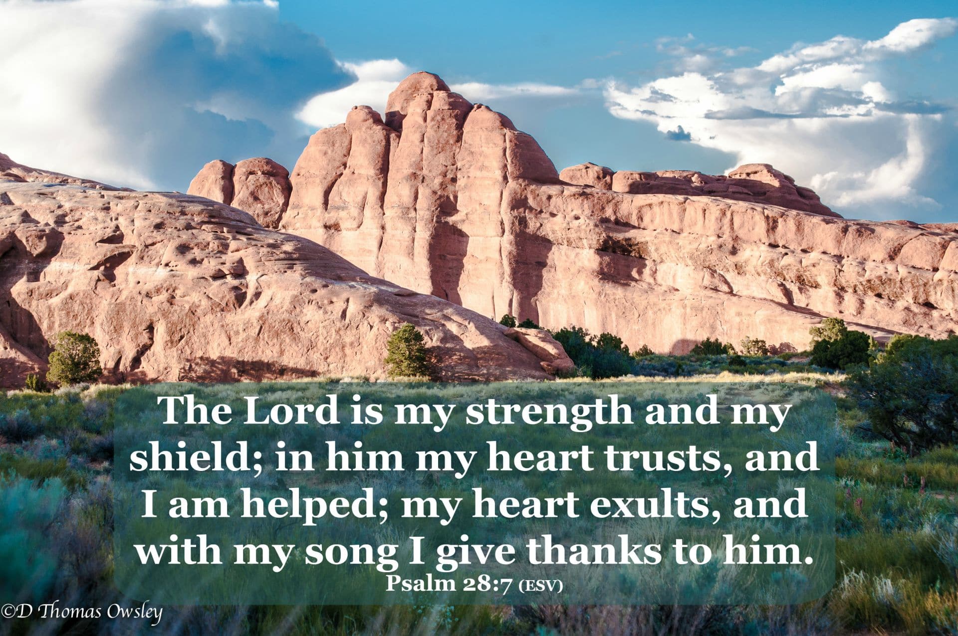 The Lord is my strength and shield; in him my heart trusts, and I am helped...