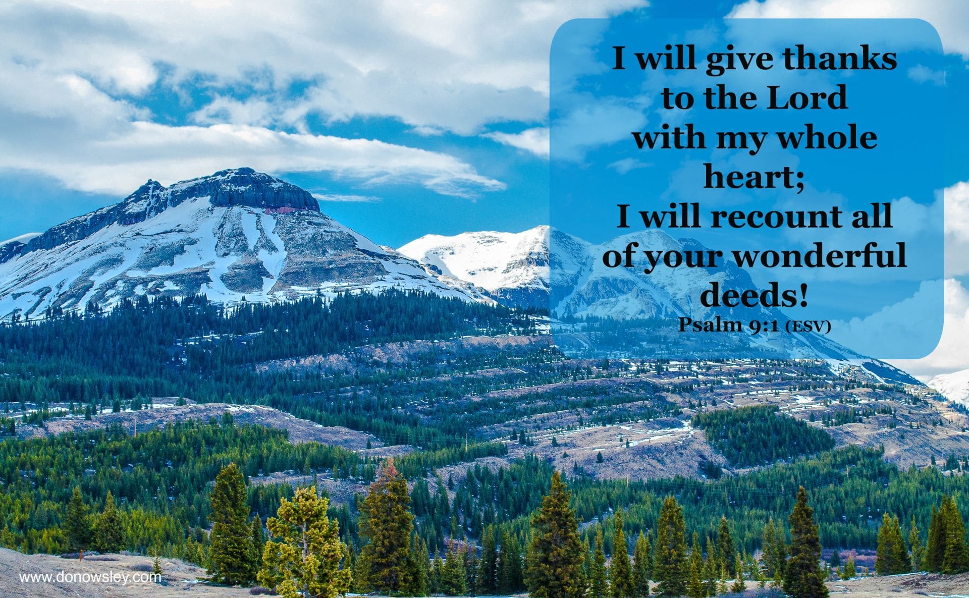 I will give thanks to the Lord with my whole heart; I will recount all your wonderful deeds.