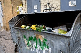 Yellow Roses in Dumpster