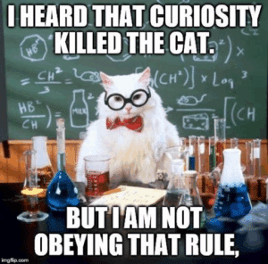 The Cat Lives On